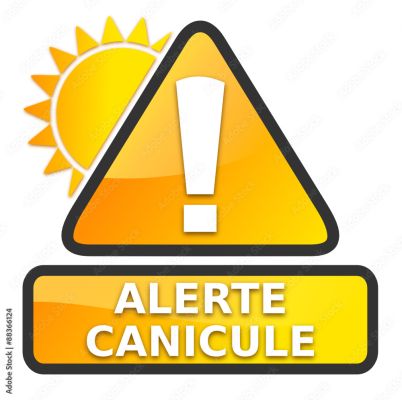 Alerte canicule