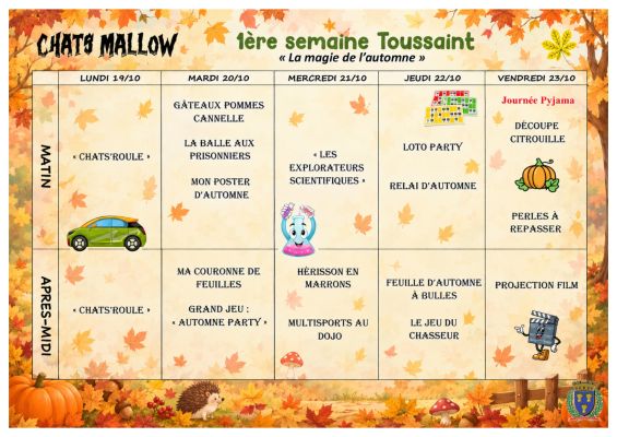 Panning Chats Mallow 1ère semaine